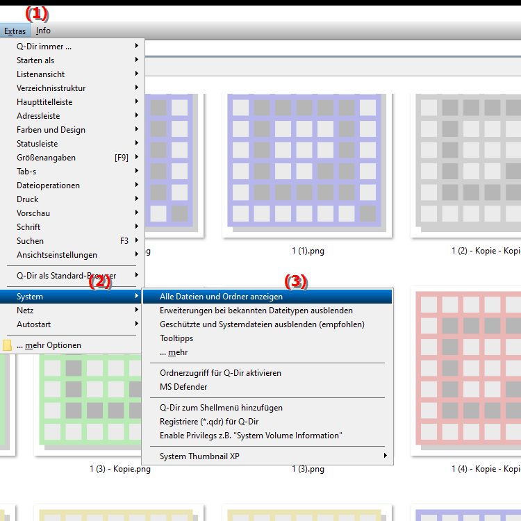 Kann ich im Datei Explorer alle Dateien und Ordner anzeigen